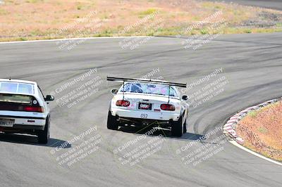 media/May-05-2024-Lucky Dog Racing (Sun) [[8a365fce5b]]/945am-Turn 5/